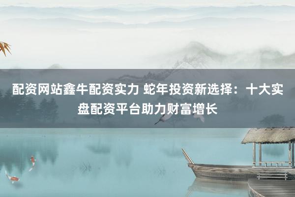 配资网站鑫牛配资实力 蛇年投资新选择：十大实盘配资平台助力财富增长