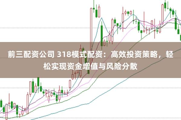 前三配资公司 318模式配资：高效投资策略，轻松实现资金增值与风险分散