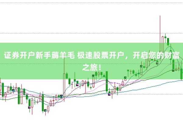 证券开户新手薅羊毛 极速股票开户，开启您的财富之旅！