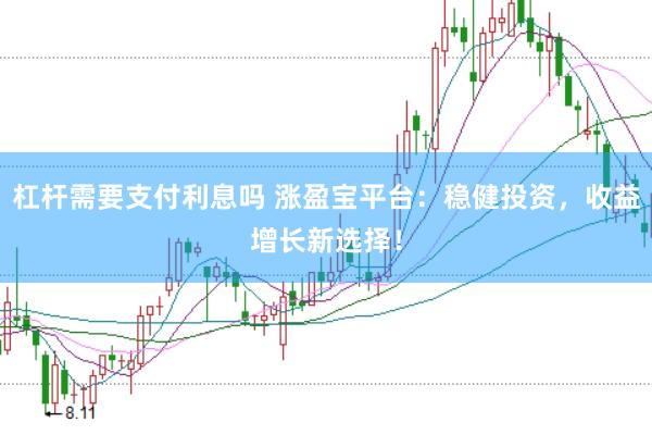 杠杆需要支付利息吗 涨盈宝平台：稳健投资，收益增长新选择！