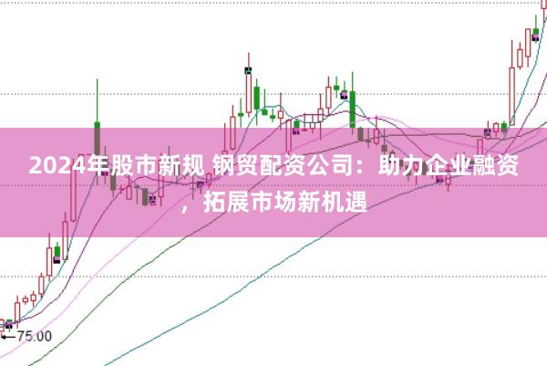 2024年股市新规 钢贸配资公司：助力企业融资，拓展市场新机遇