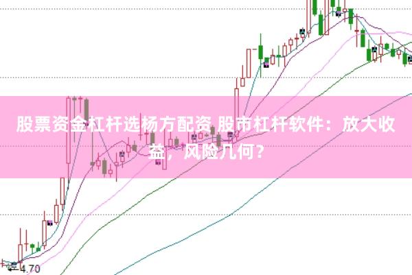 股票资金杠杆选杨方配资 股市杠杆软件：放大收益，风险几何？
