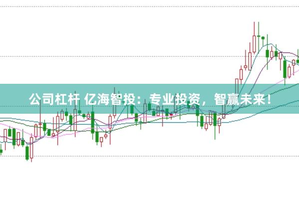 公司杠杆 亿海智投：专业投资，智赢未来！