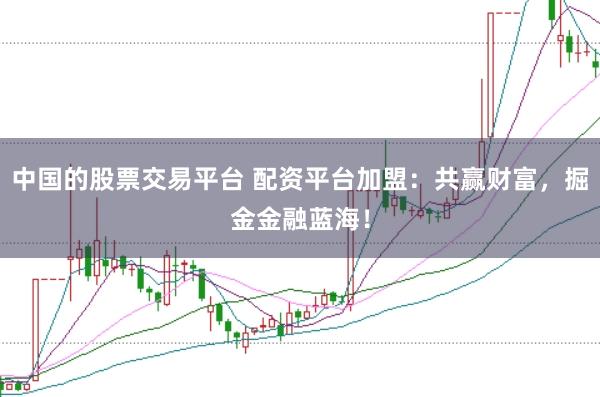 中国的股票交易平台 配资平台加盟：共赢财富，掘金金融蓝海！