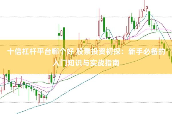 十倍杠杆平台哪个好 股票投资初探：新手必备的入门知识与实战指南