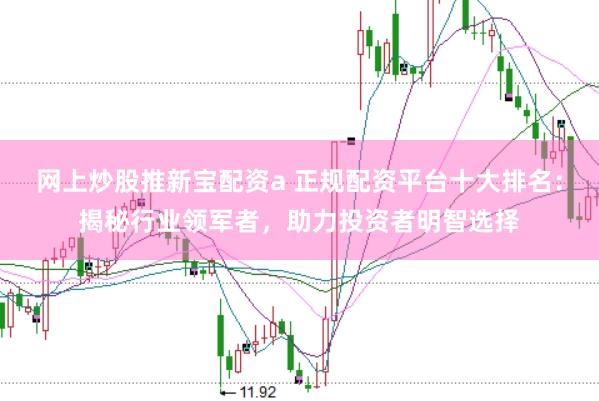 网上炒股推新宝配资a 正规配资平台十大排名：揭秘行业领军者，助力投资者明智选择