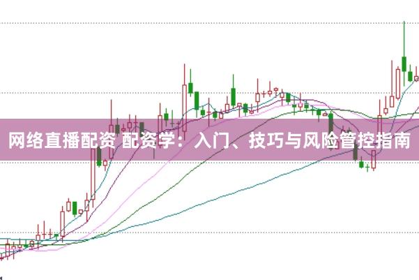 网络直播配资 配资学：入门、技巧与风险管控指南
