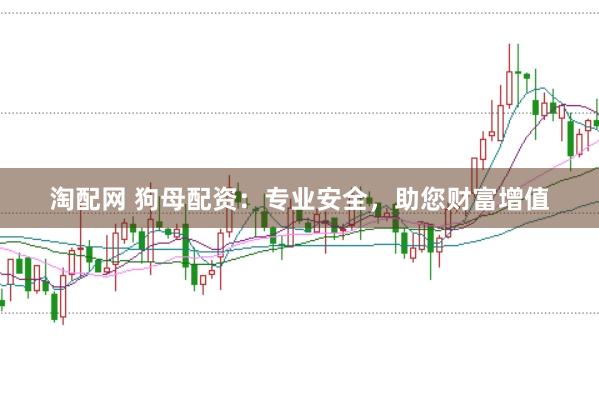 淘配网 狗母配资：专业安全，助您财富增值