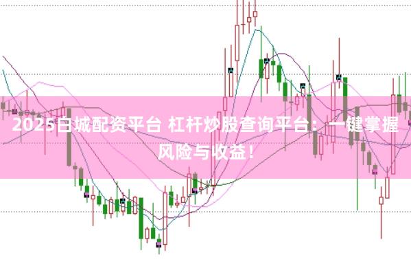 2025白城配资平台 杠杆炒股查询平台：一键掌握风险与收益！