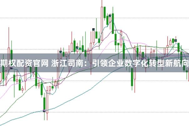 期权配资官网 浙江司南：引领企业数字化转型新航向