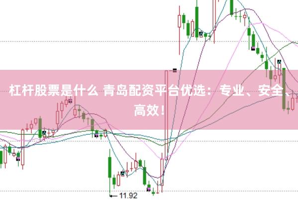 杠杆股票是什么 青岛配资平台优选：专业、安全、高效！