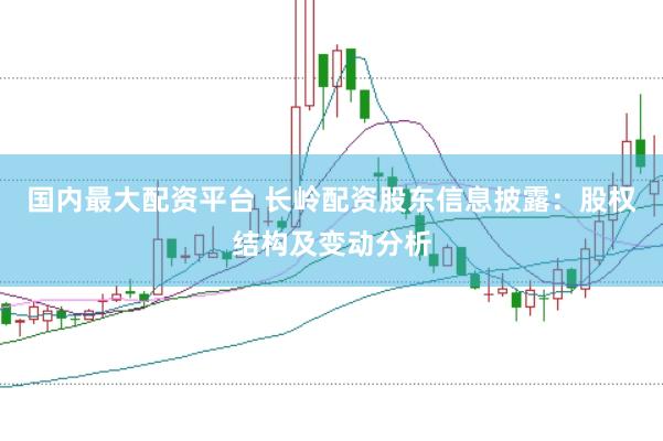 国内最大配资平台 长岭配资股东信息披露：股权结构及变动分析