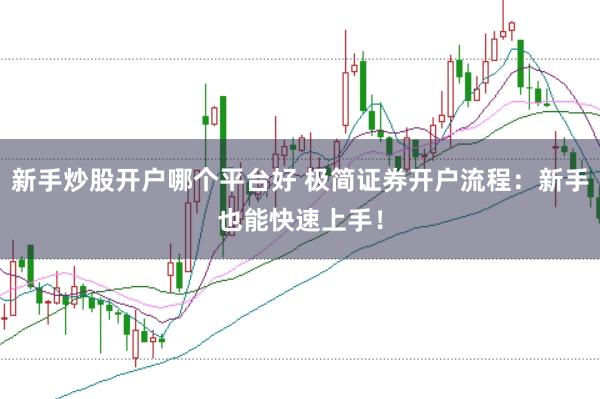 新手炒股开户哪个平台好 极简证券开户流程：新手也能快速上手！