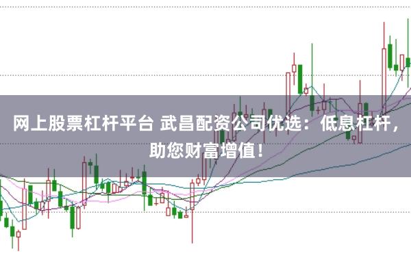 网上股票杠杆平台 武昌配资公司优选：低息杠杆，助您财富增值！