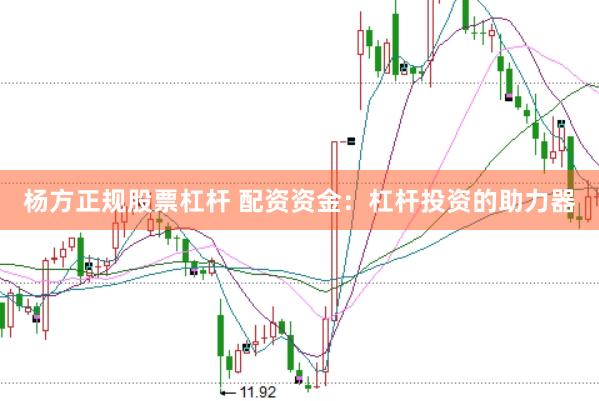 杨方正规股票杠杆 配资资金：杠杆投资的助力器