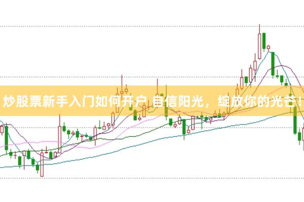 炒股票新手入门如何开户 自信阳光,绽放你的光芒!