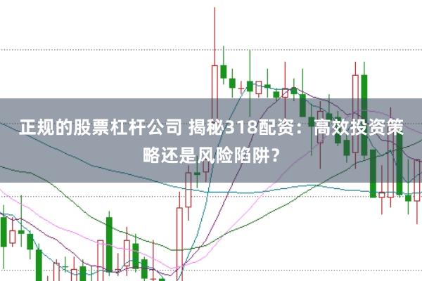 正规的股票杠杆公司 揭秘318配资:高效投资策略还是风险陷阱?