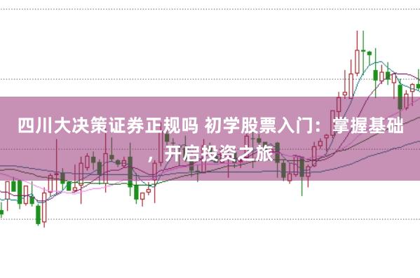 四川大决策证券正规吗 初学股票入门:掌握基础,开启投资之旅